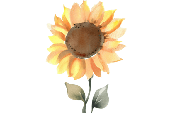 Download Fall Sunflower Watercolor Clipart Vol–7 - Fall Collection