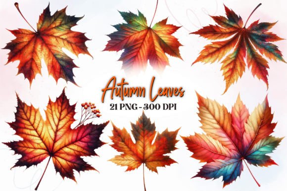 Download Autumn Leave, Fall Watercolor Clipart - Fall Collection